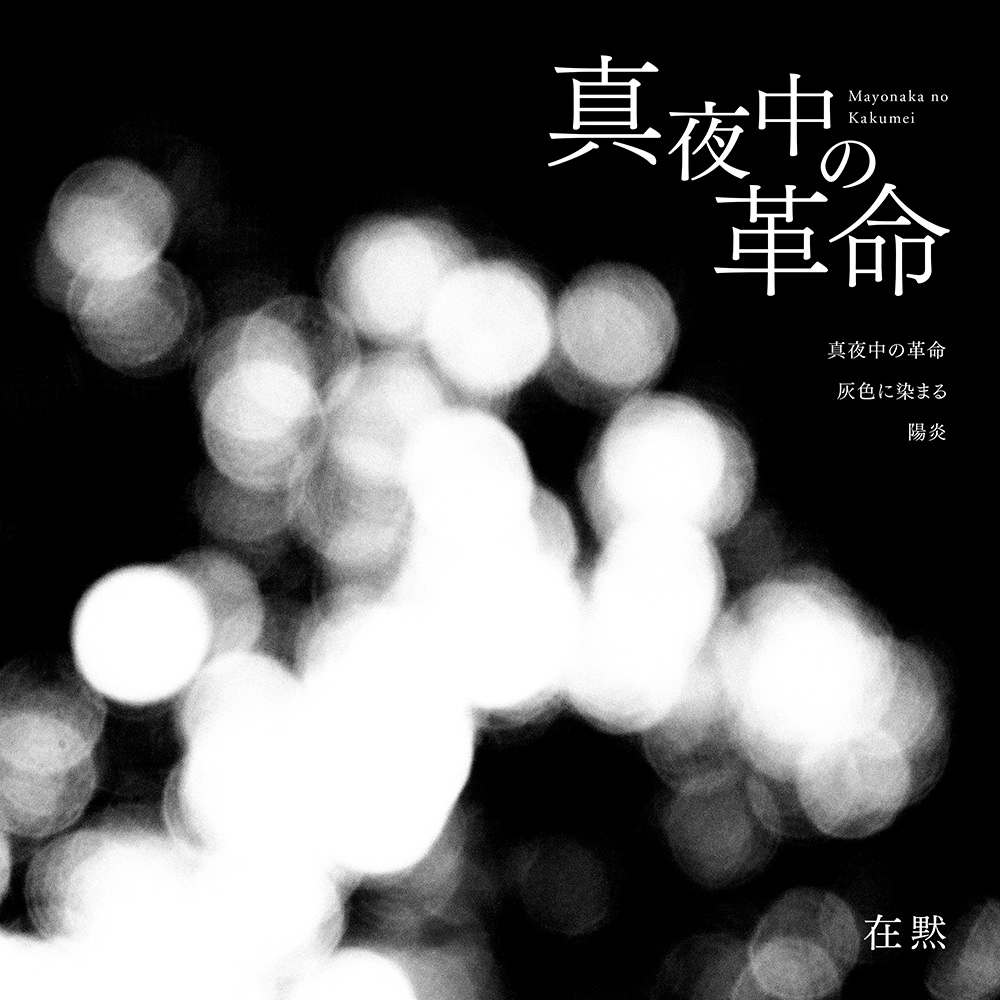 真夜中の革命